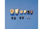 Eimer 9 mm Holz  (VE10)