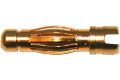4,0 mm Goldstecker / male |,