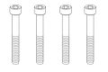 Schrauben M3x24mm (10)