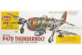Thunderbolt 3/4 scale plane